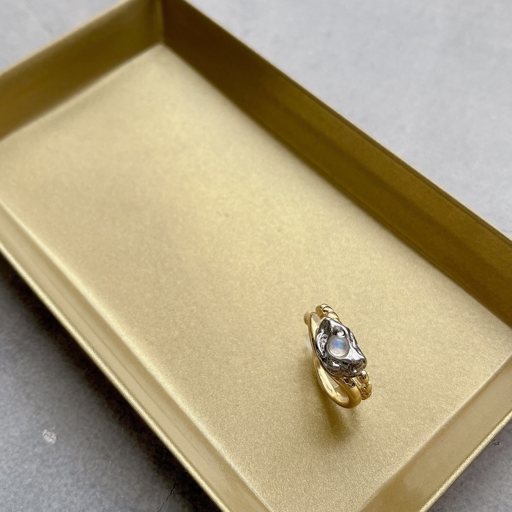 Ring 【厄災のおとしもの】