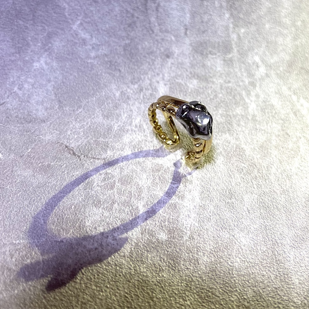 Ring 【厄災のおとしもの】