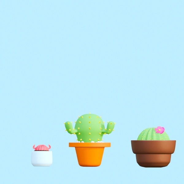かわいいサボテン3個セット