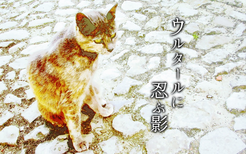 CoCタイマンシナリオ集「隣りあわせの次元群」