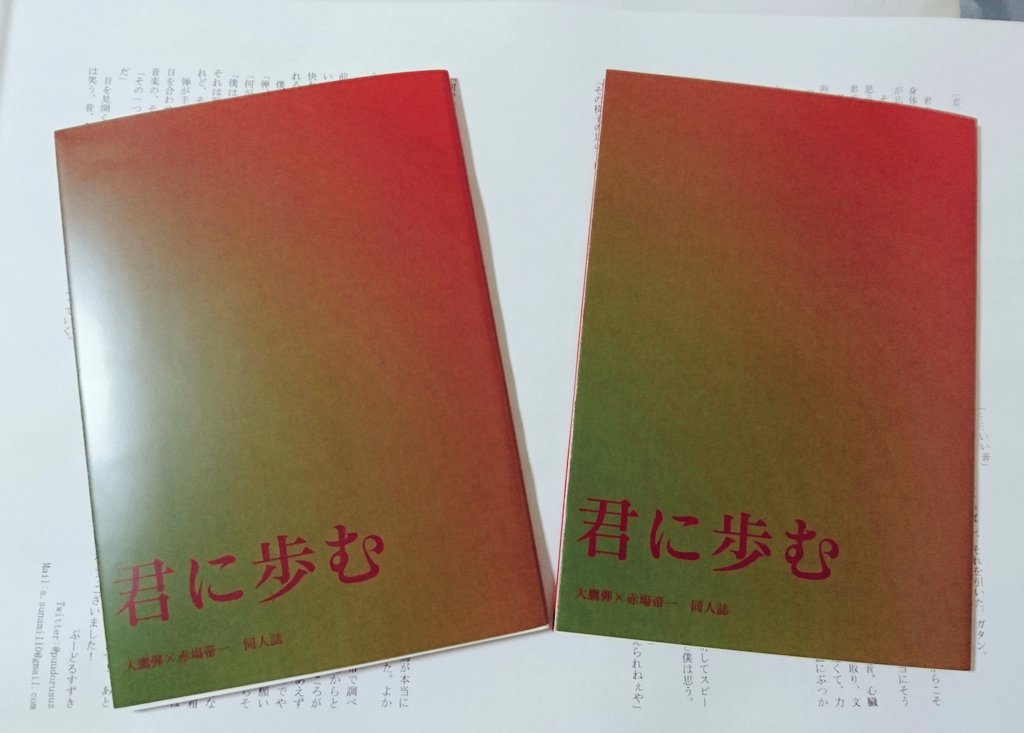 君に歩む【表紙削れあり】