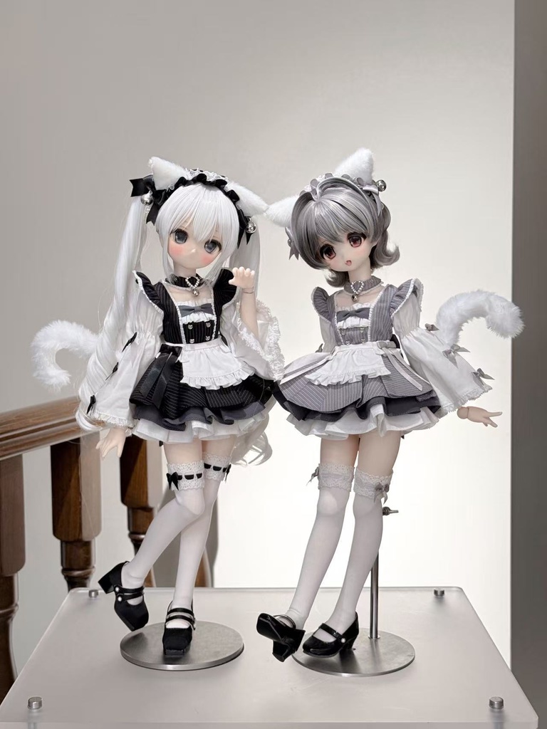 「RACCOON」『猫猫崇崇』 mdd msd 