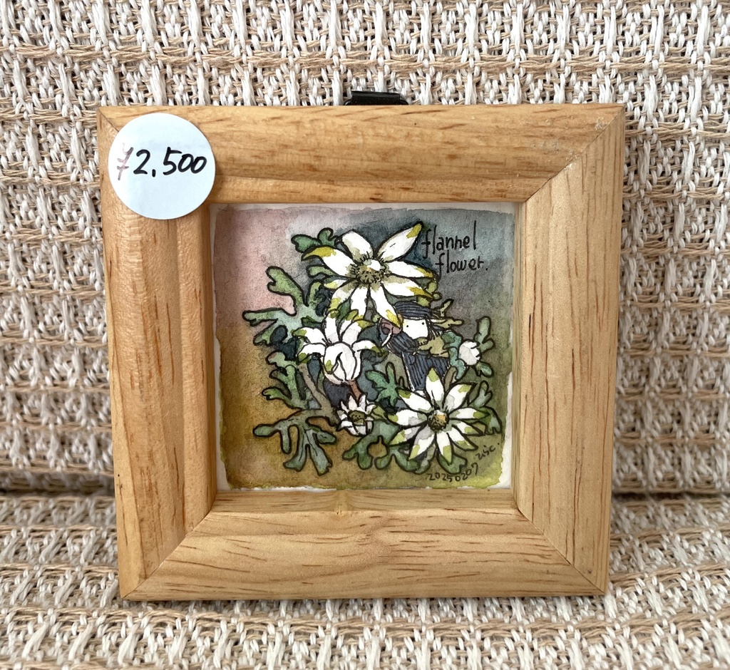 ミニ額装原画｢フランネルフラワーC｣