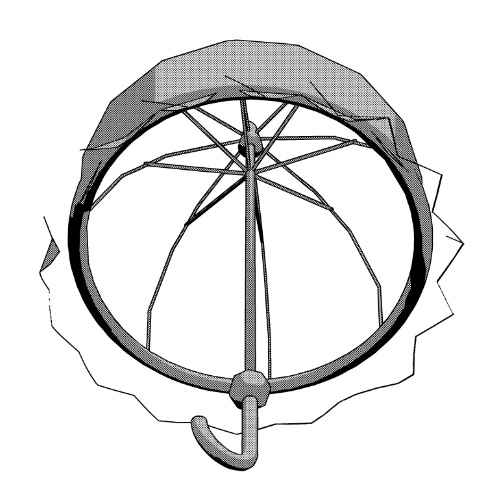 ロマンチックな傘