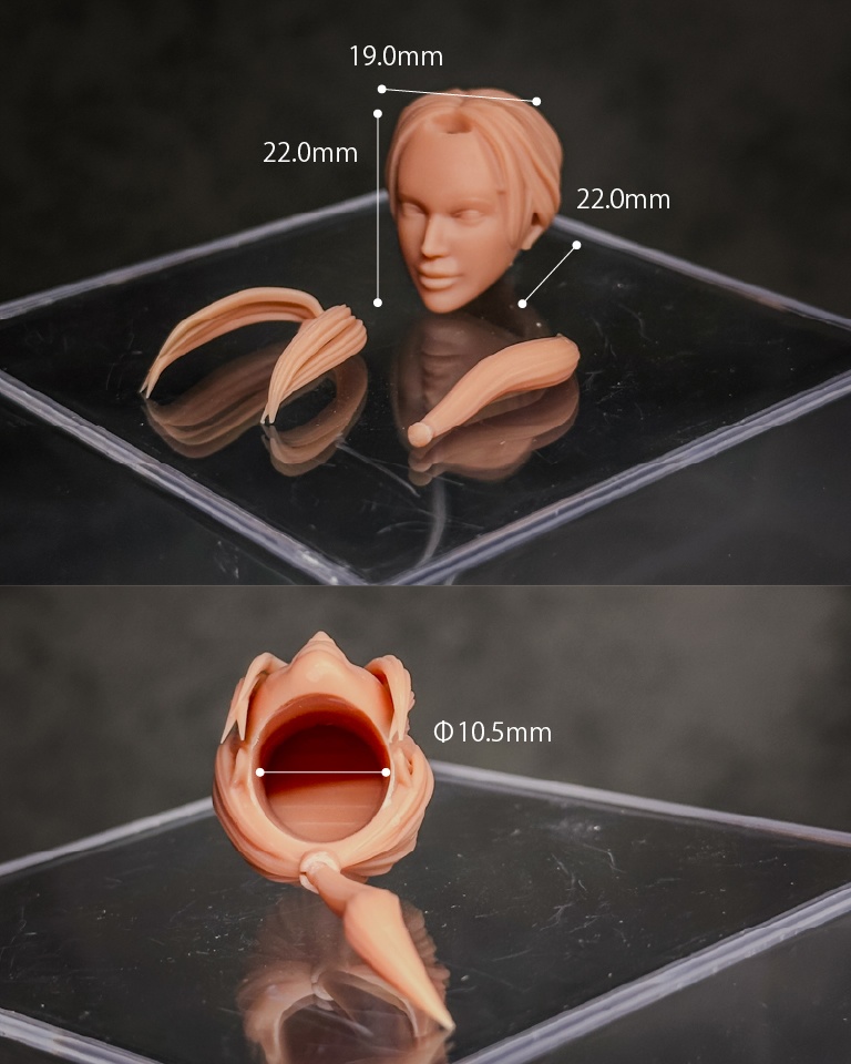 【カスタムヘッド】HF001ファンタジー女性剣士 (mythic legionsなどファンタジーフィギュア、1/10〜1/12スケール向け)