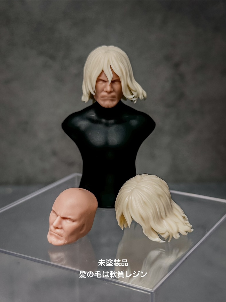 【カスタムヘッド】男性ヒューマン 灰銀の騎士 / 暁の将軍(mythic legionsなどファンタジーフィギュア向け 1/10〜1/12スケール向け)HM001