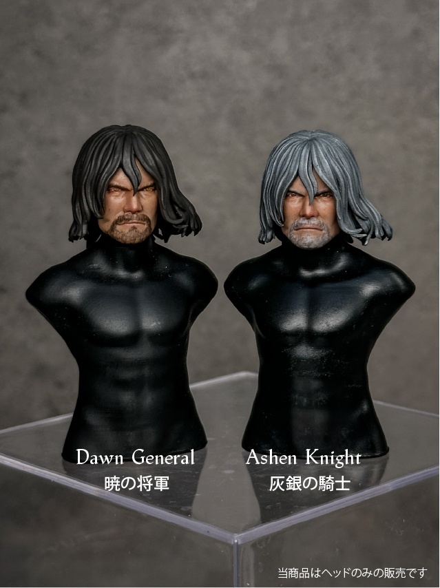 【カスタムヘッド】男性ヒューマン 灰銀の騎士 / 暁の将軍(mythic legionsなどファンタジーフィギュア向け 1/10〜1/12スケール向け)HM001