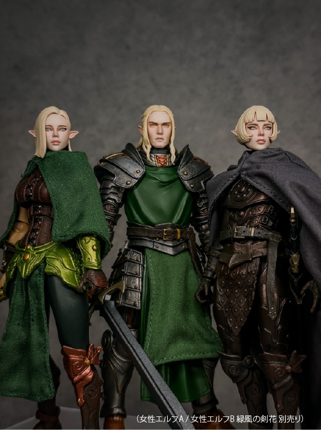 【カスタムヘッド】男性エルフ 緑風の貴公子 / 漆黒の吸血公(mythic legionsなどファンタジーフィギュア向け 1/10〜1/12スケール向け)HM002
