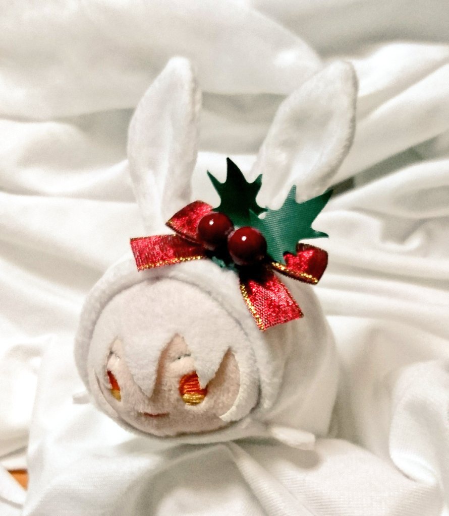 もちマス用 着ぐるみ 柊うさぎ