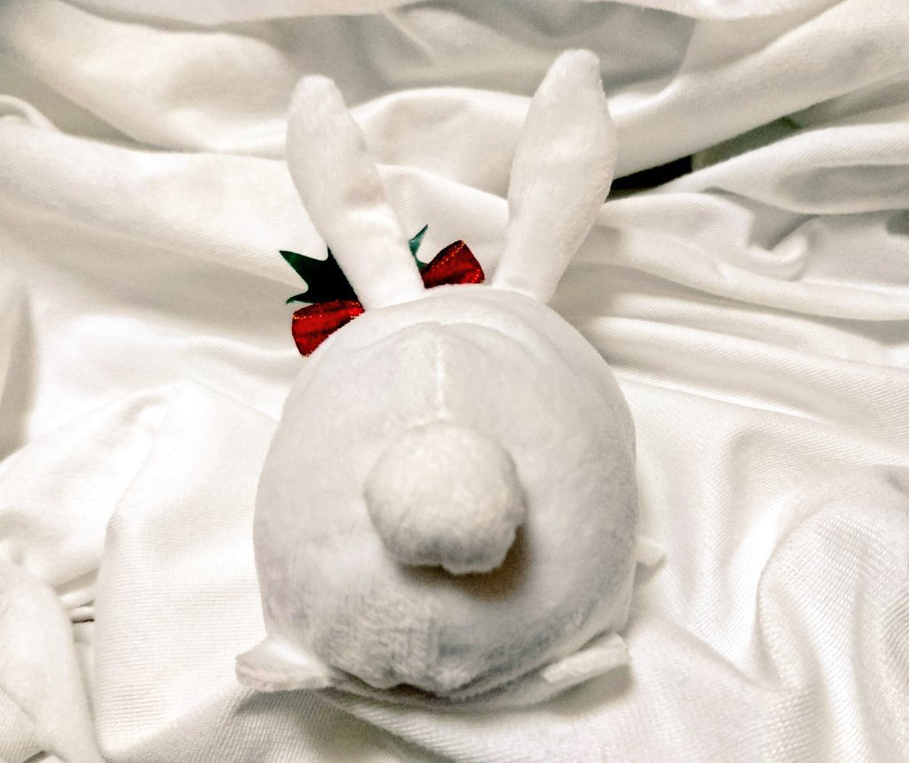 もちマス用 着ぐるみ 柊うさぎ
