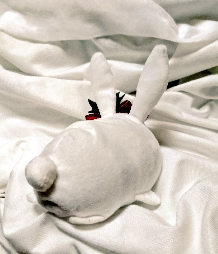 もちマス用 着ぐるみ 柊うさぎ