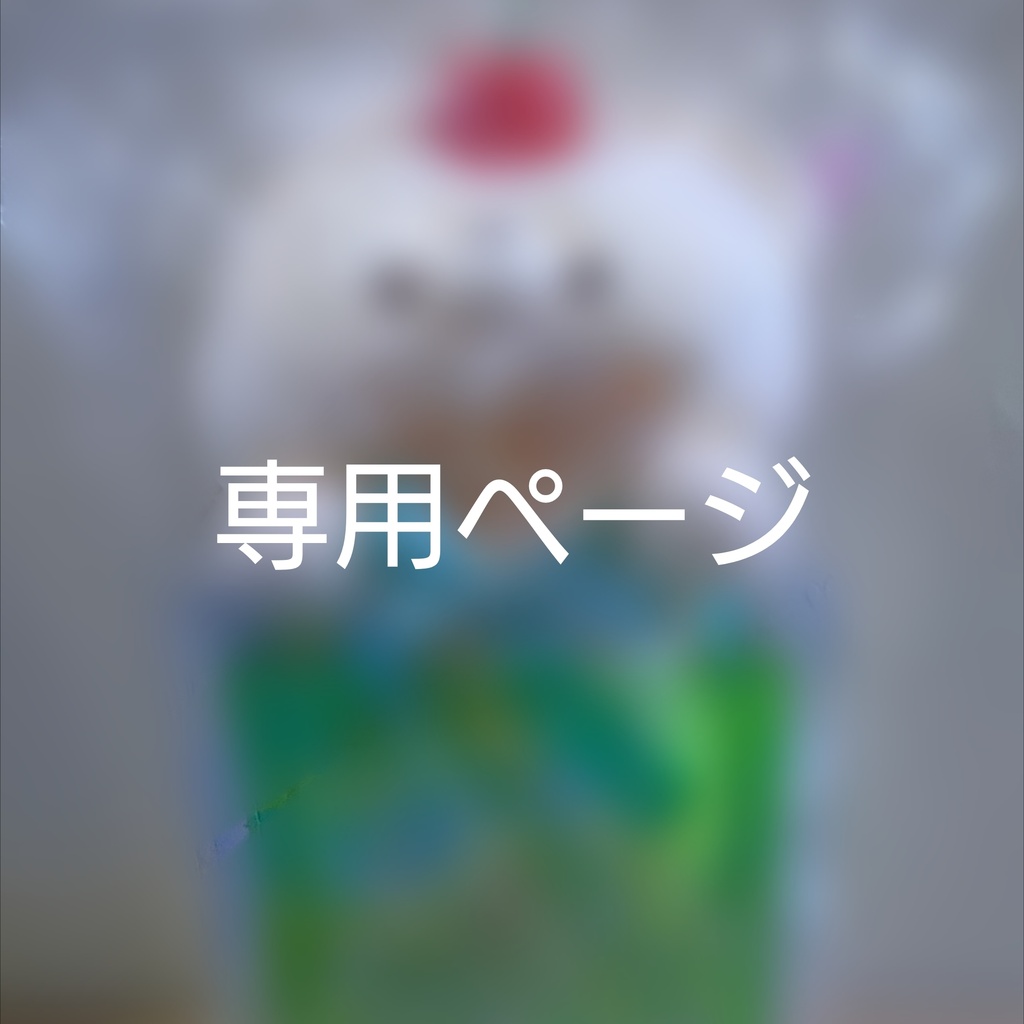 専用ページ(オーダー)