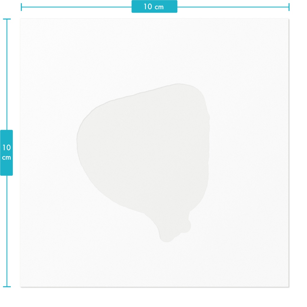 眠そうなシジミ