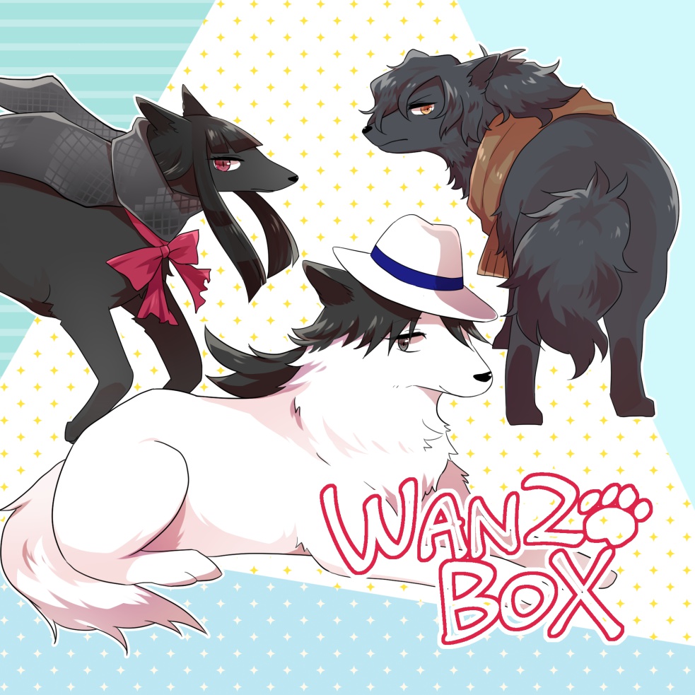 WAN2BOX
