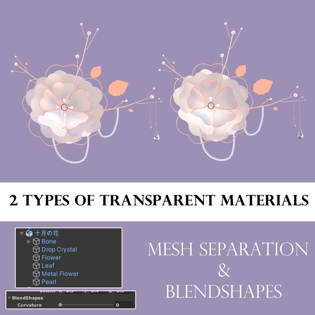 十月の花  / Flower of October