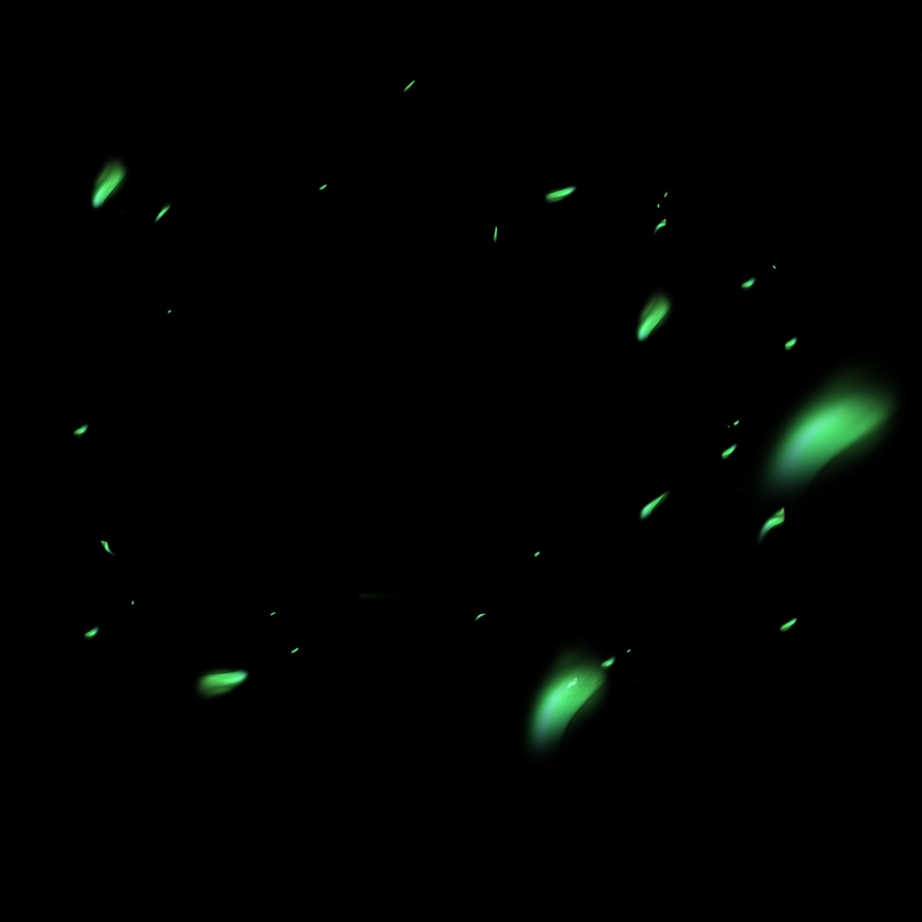 風エフェクト素材