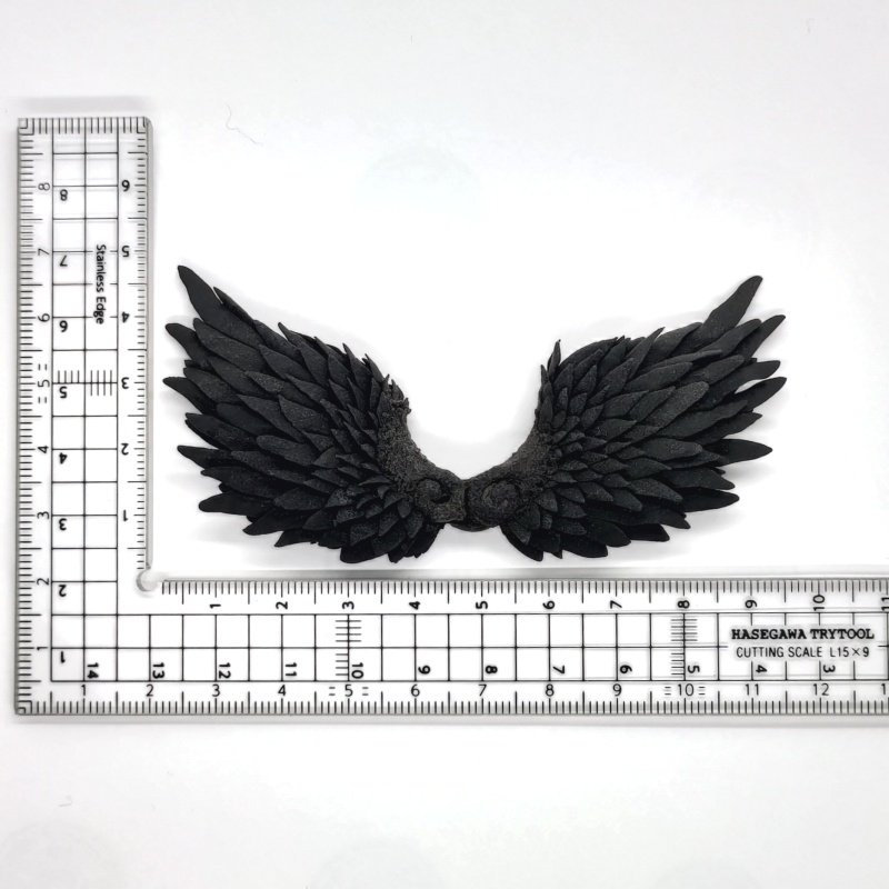 黒い翼(ちいさいやつ)