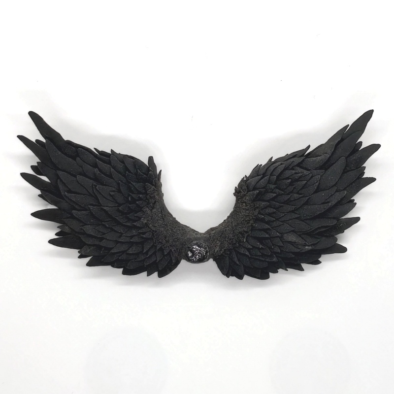 黒い翼(ちいさいやつ)