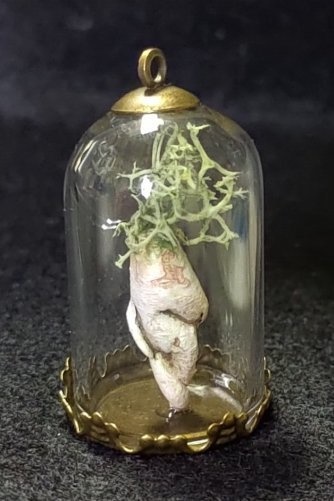 にんじん