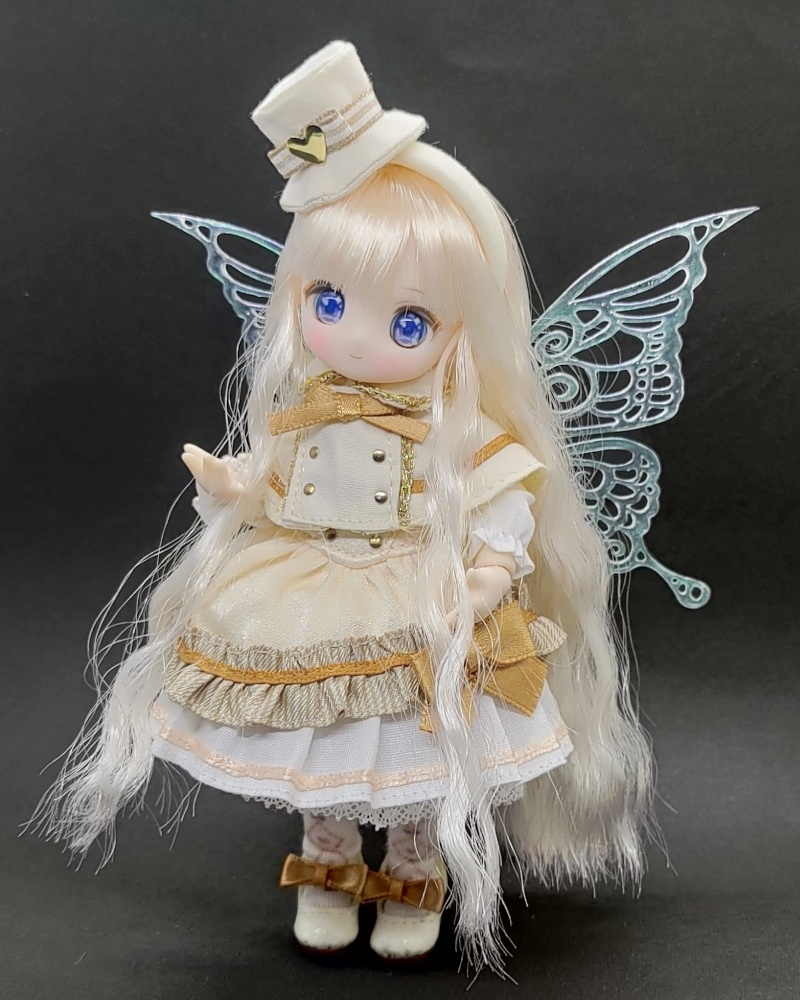 少し小さい妖精の翅