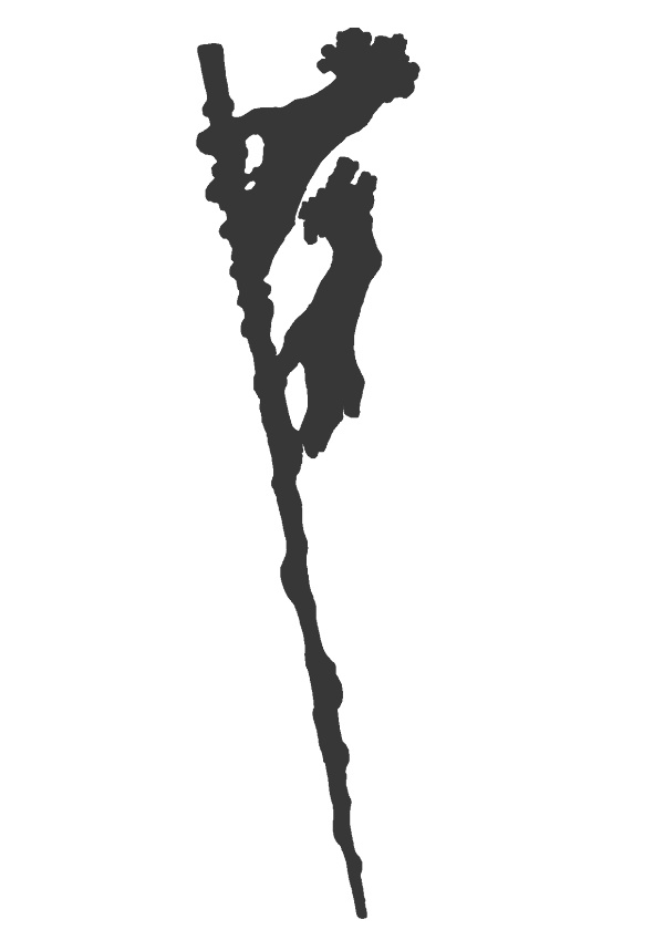 低級妖魔立ち絵14カラー・シルエット