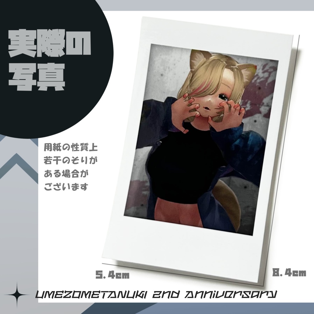 梅染たぬき2周年記念-グッズコンプセット