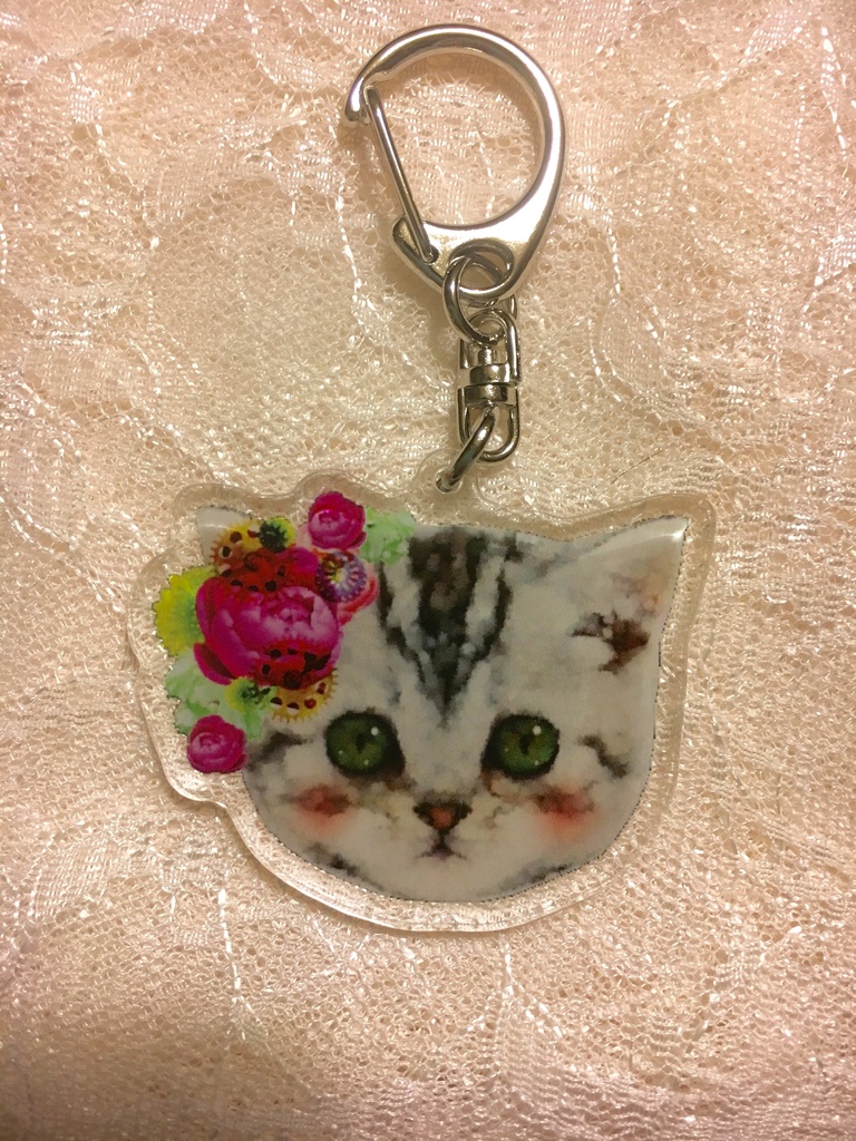 おめかし仔猫ちゃん(くりくりおめめ)