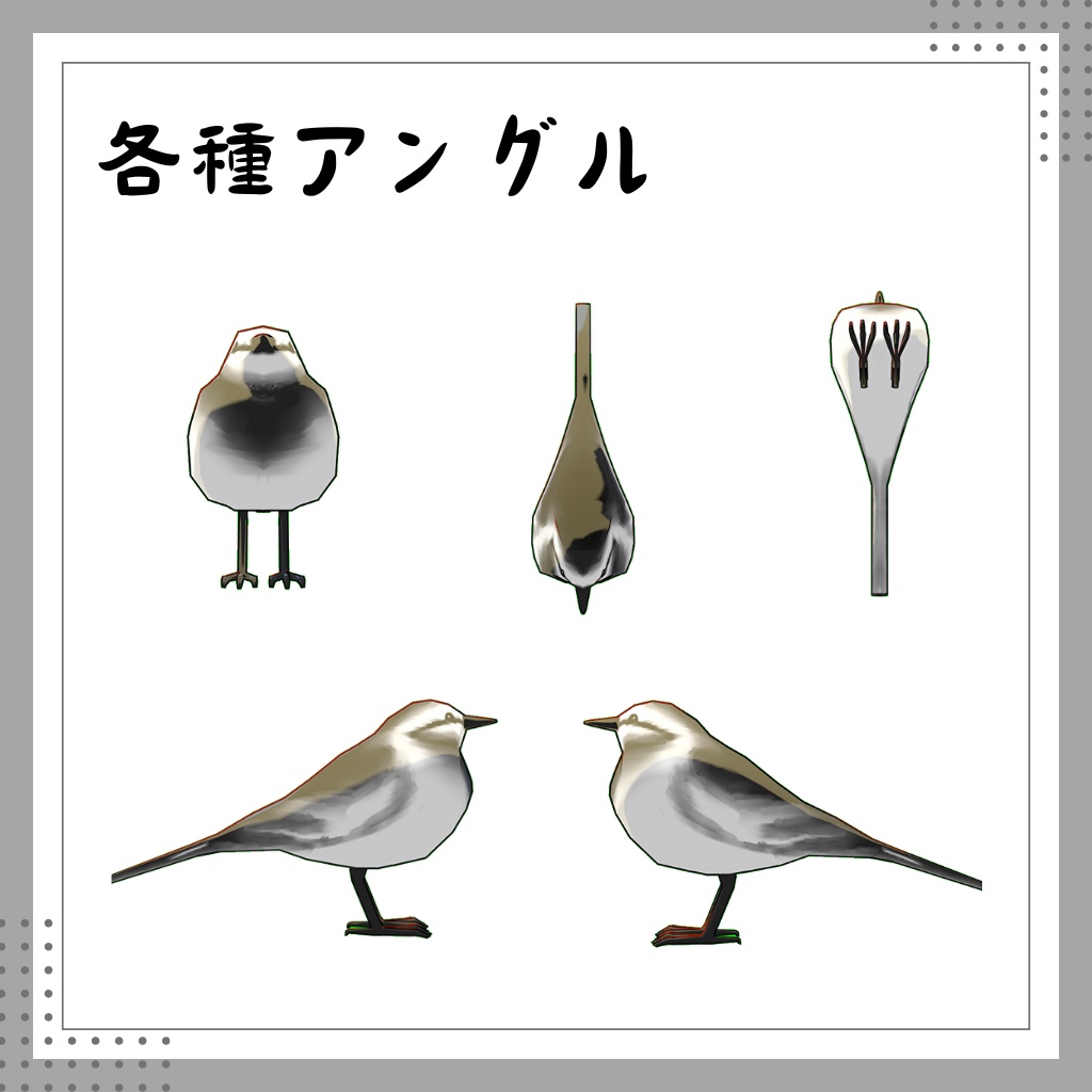 【3Dモデル】ハクセキレイ【VRChat】