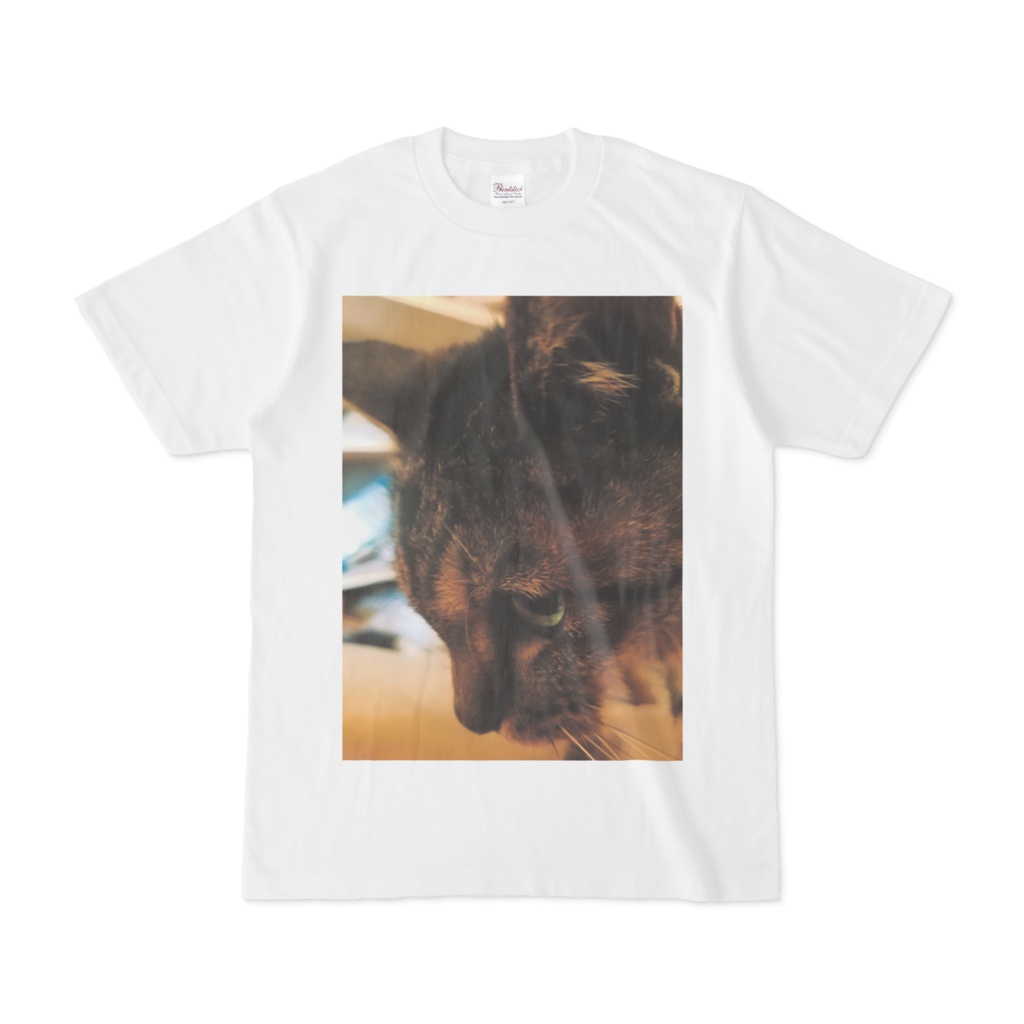 猫Tシャツ