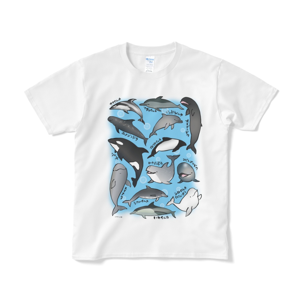 イルカいろいろT