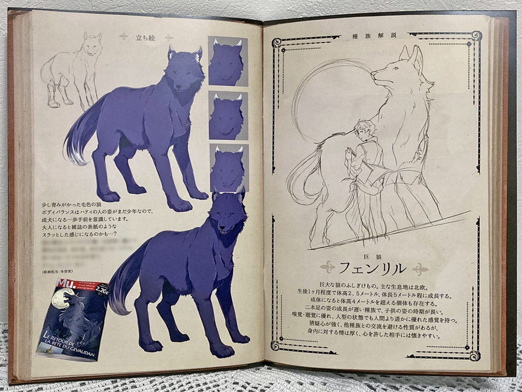 【特典冊子付パッケージ版】コルヌ・コピア-不思議の住む街- 夏夜の影狼(完結編)