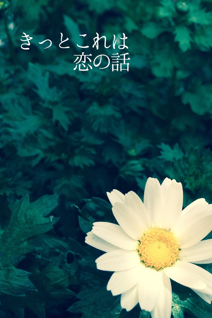 きっとこれは恋の話