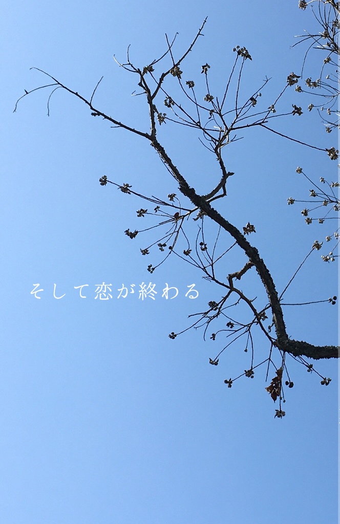 そして恋が終わる