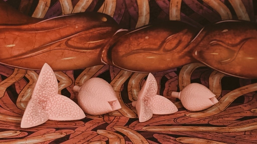 【セール】触手の先っちょヒラキました