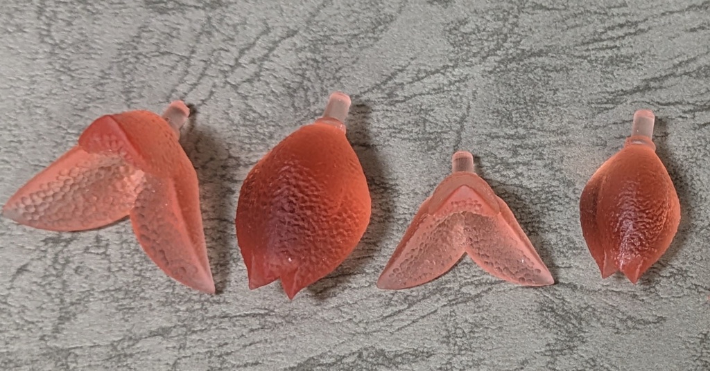 【セール】触手の先っちょヒラキました・クリア