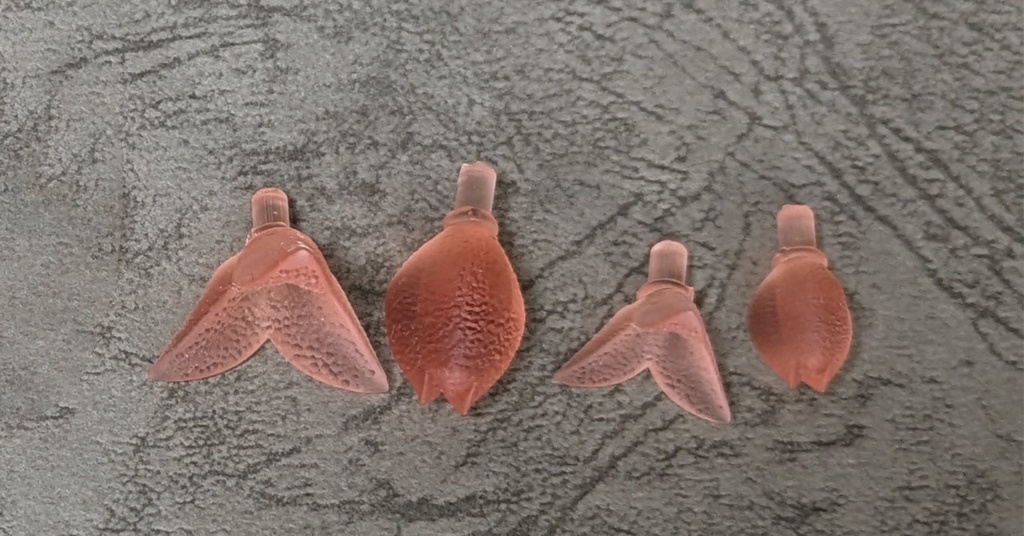 触手の先っちょヒラキましたmini・クリア