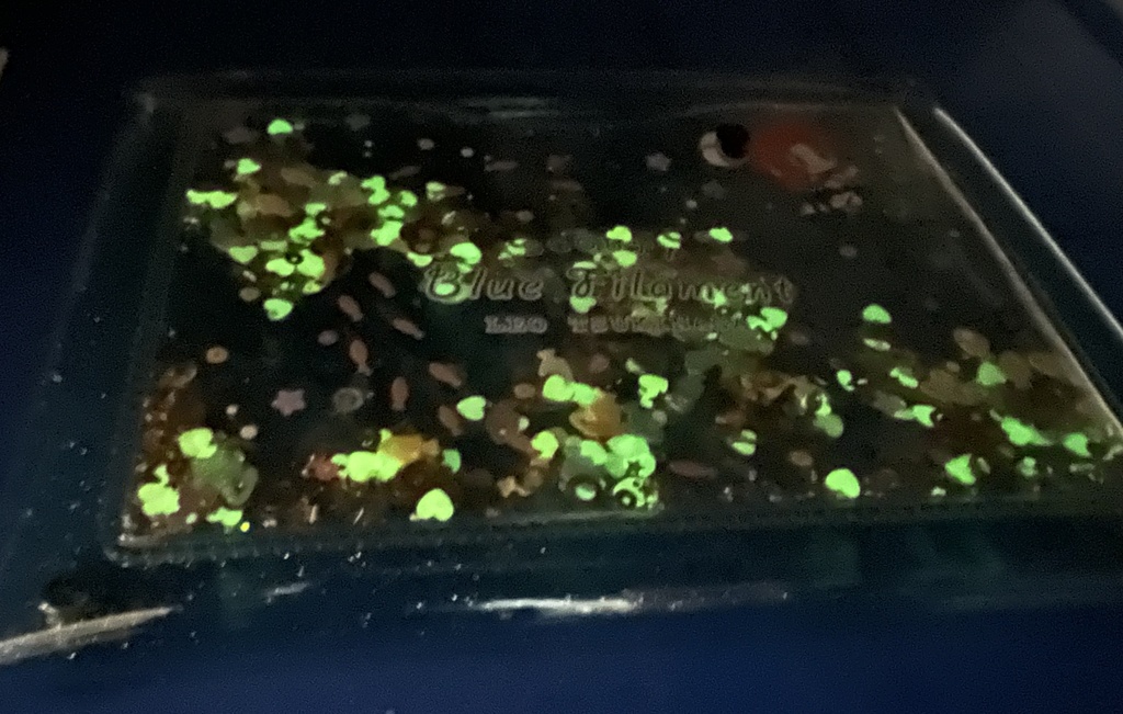 ブルフィラレオ シャカシャカポーチ