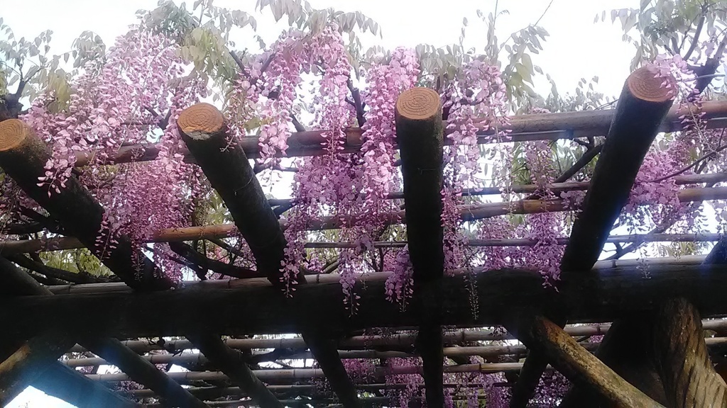 Happy greeting/GIFT BOX【The Summer Christmas books】