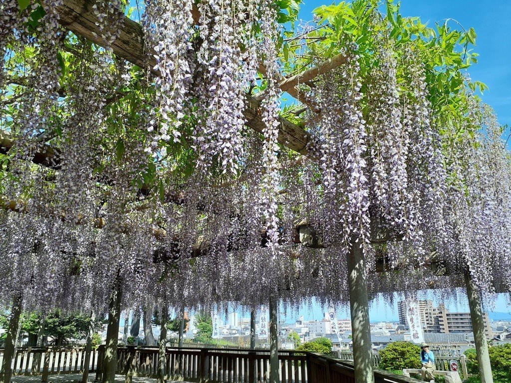 Happy greeting/GIFT BOX【The Summer Christmas books】