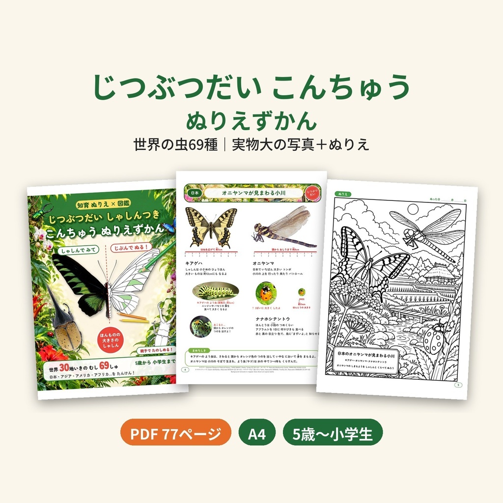 【PDF・A4】じつぶつだい しゃしんつき こんちゅう ぬりえずかん|世界の虫69種 実物大の写真+ぬりえ 5歳〜小学生