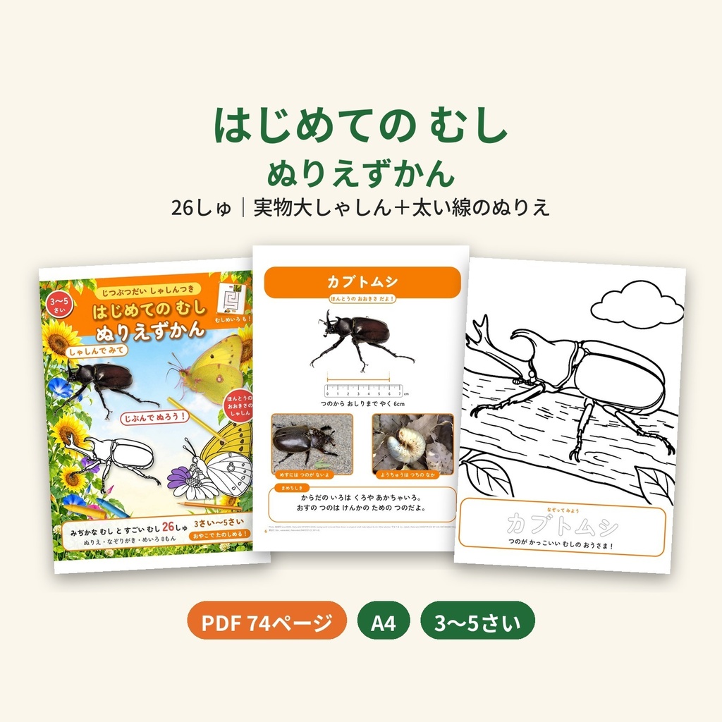 【PDF・A4】じつぶつだい しゃしんつき はじめての むし ぬりえずかん｜26しゅ 実物大しゃしん＋太い線のぬりえ 3〜5さい