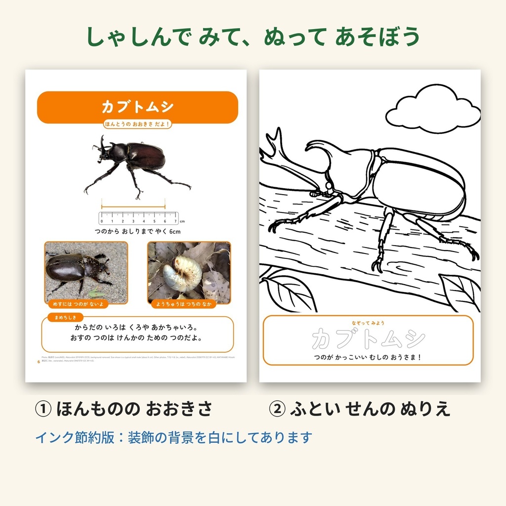 【PDF・A4】じつぶつだい しゃしんつき はじめての むし ぬりえずかん|26しゅ 実物大しゃしん+太い線のぬりえ 3〜5さい