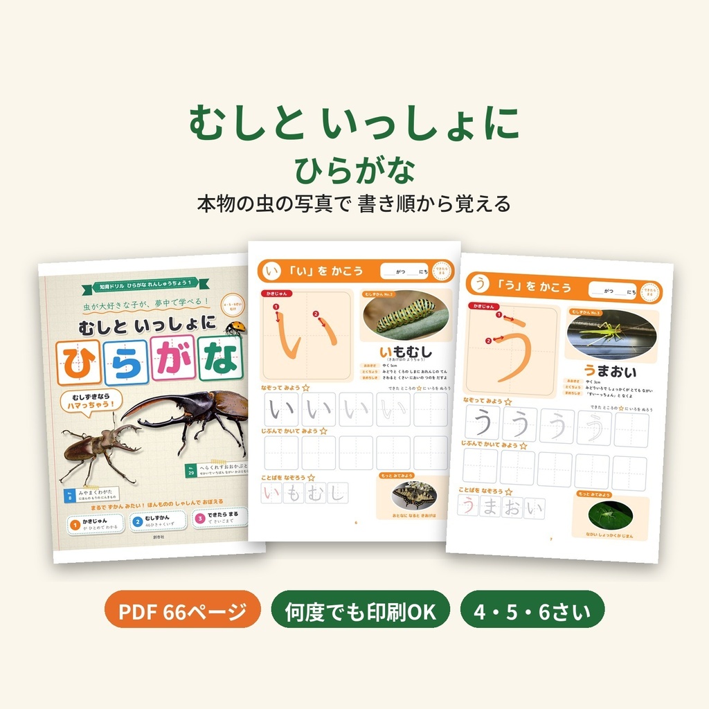【PDF・A4】むしと いっしょに ひらがな|本物の虫の写真で書き順から覚える ひらがな練習帳 4・5・6さい 何度でも印刷OK