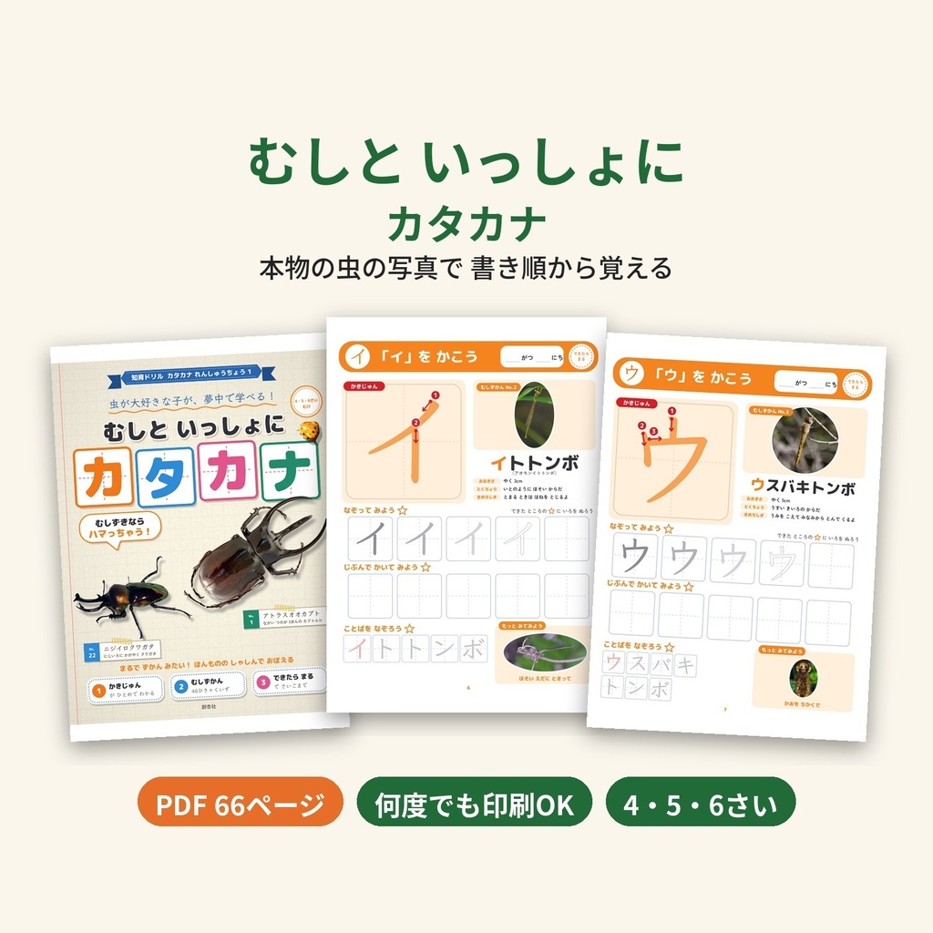 【PDF・A4】むしと いっしょに カタカナ|本物の虫の写真で書き順から覚える カタカナ練習帳 4・5・6さい 何度でも印刷OK