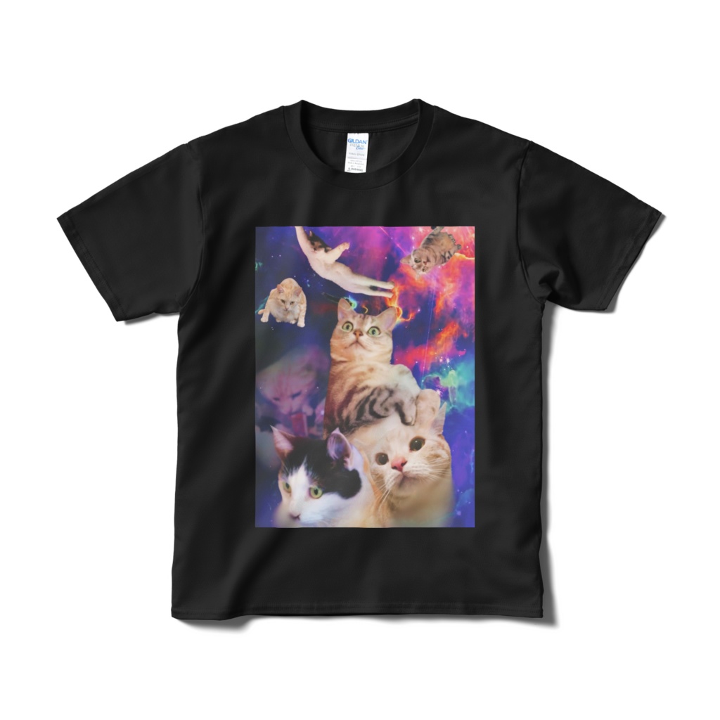 宇宙猫との対峙（黒）