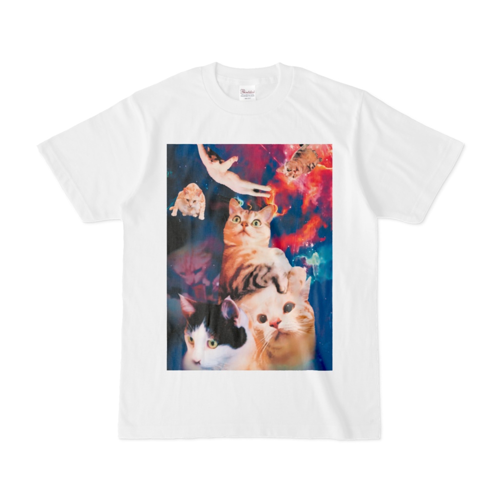 宇宙猫との対峙（白）