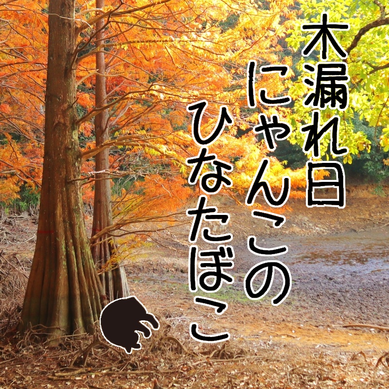 フリーBGM「木漏れ日にゃんこのひなたぼこ」