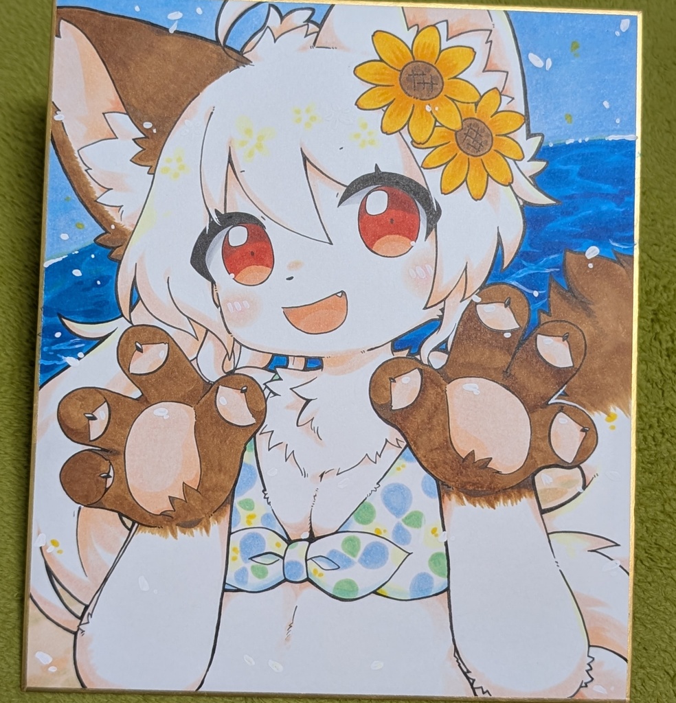 夏きょんこ🌻中色紙‼️
