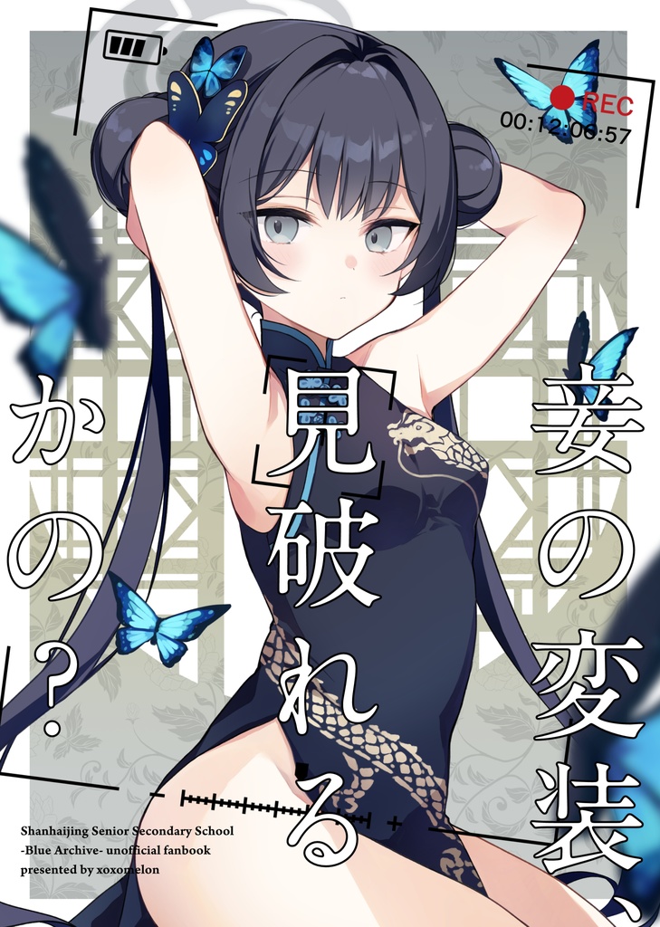 『妾の変装、見破れるかの？』せんアカ12新刊