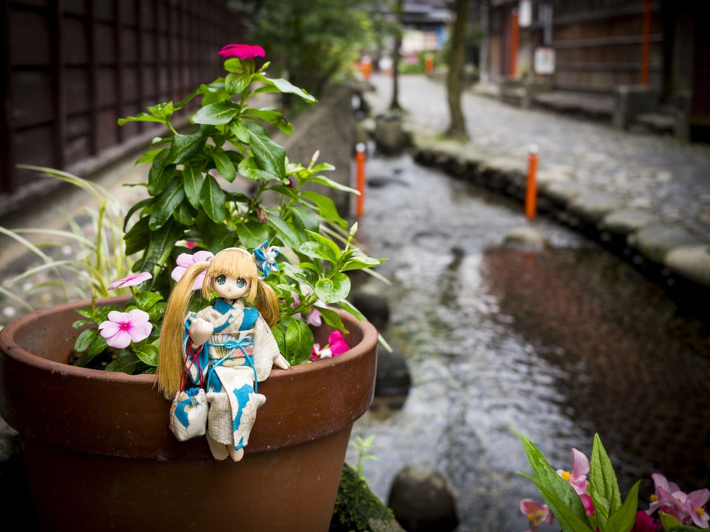 七月一日は君の色